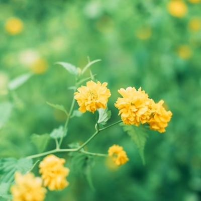 漫威决斗破解版下载
